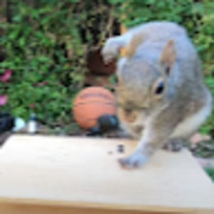 Meet your Posher, Ewadpierce